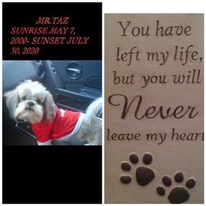 Meet your Posher, Keta